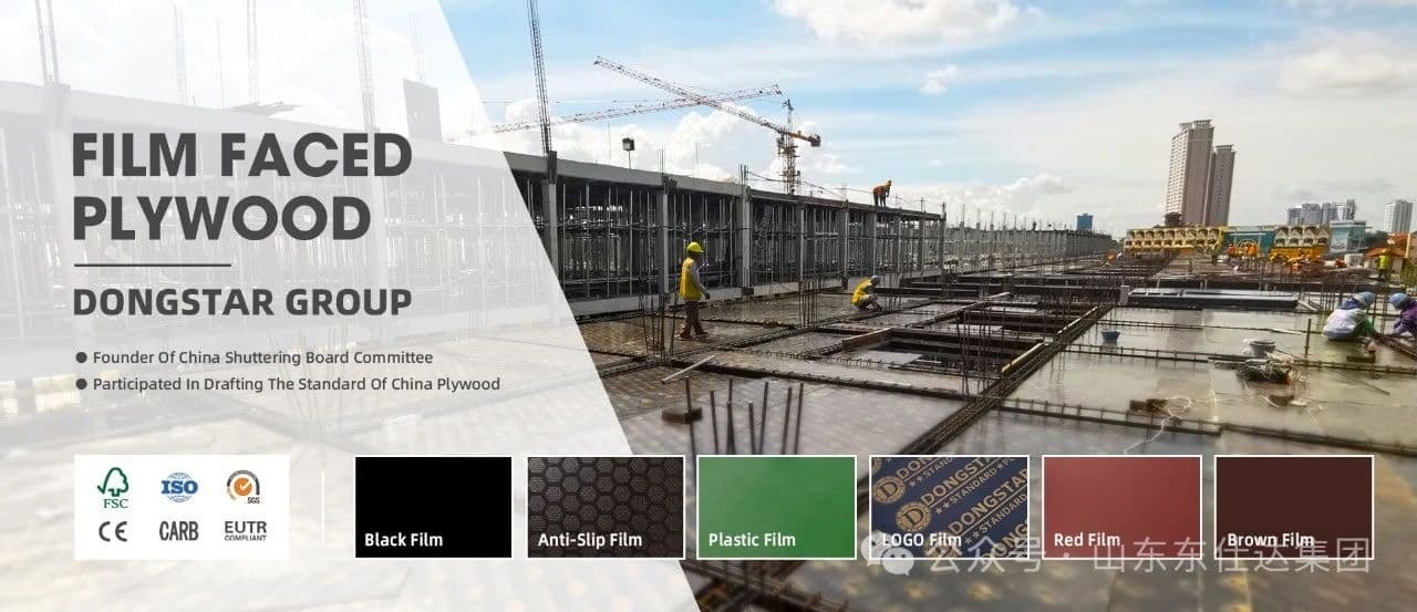 [New Era of Green Building Materials] How Dongstar Board Leads Environmental Protection