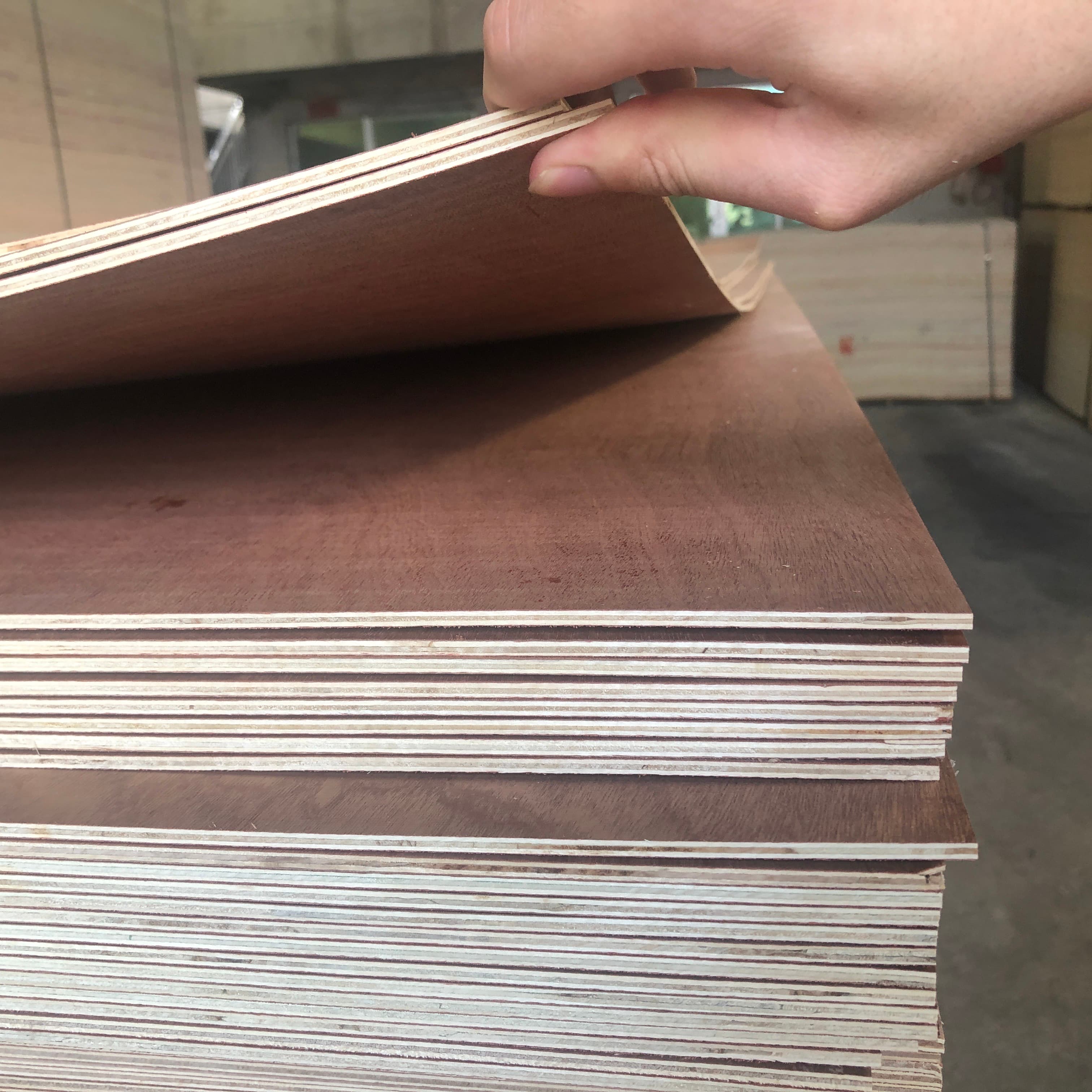 Wholesale Dealers Of Melamine Faced Plywood - Red Bintangor Plywood For Furniture Packing Industry – Dongstar