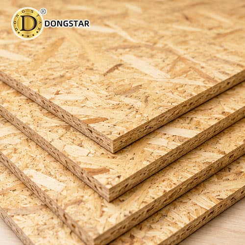 Why OSB Board is Trending in Global Construction? 2026 Buyer Guide for Importers and Builders
