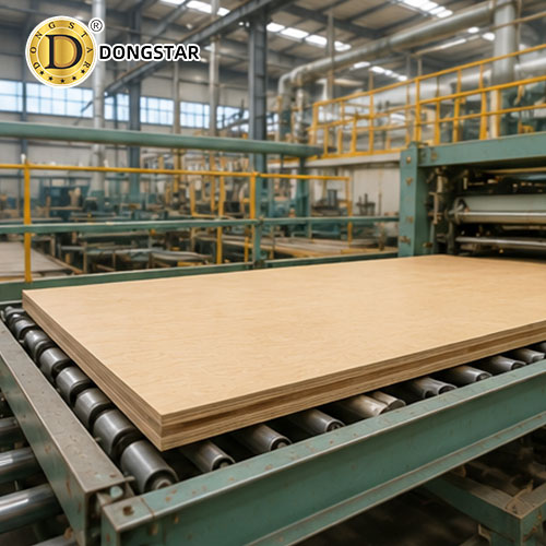 China Plywood Factory