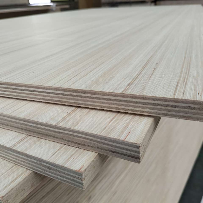 EV Plywood.7