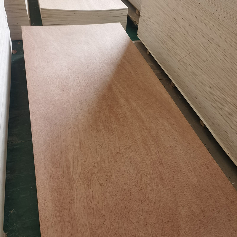 Door Skin Plywood.4