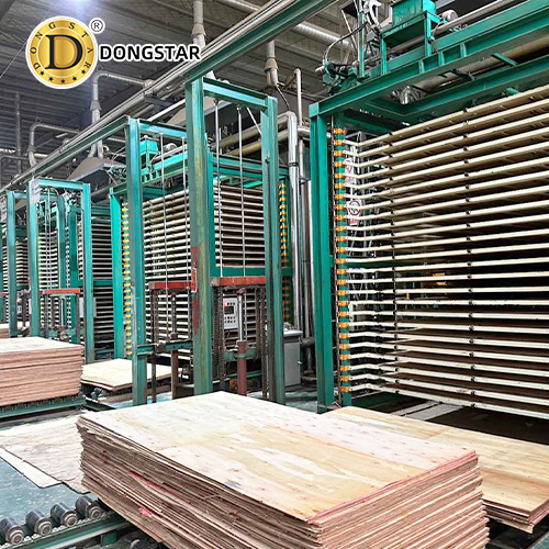 China Plywood Factory